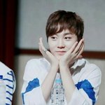 [세븐틴] 2015년 부승관 <b>이지훈</b>과 2016년 부승관 <b>이지훈</b>