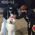 [아이콘] <b>솔직</b>하게