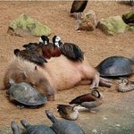 [방탄소년단] 뭔가 김태형