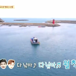 [세븐틴] 우연히본 어멋날속 권스포