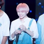 [세븐틴] 세븐틴 입덕했는데