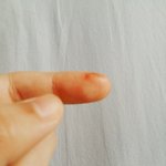 [드루와] <b>주작</b>이었어ㅎㅁㅎ