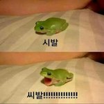 솔직히 과목 다 <b>암기</b>과목아니냐
