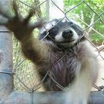 [댓글부탁해] 팬<b>싸가</b>서 오래 기억되는 법 좀