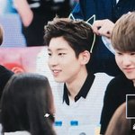 [세븐틴] 저희집 고양이가 가출했는데요