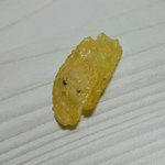 [댓글부탁해] 콘<b>푸</b>라이트 벌레? 확인좀해주세요ㅜㅜ