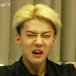 [EXO] 솔직히 퓡미부른애 까여드 <b>쉴드</b> 안받을듯