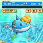 개 <b>복</b> 치 <b>돌</b> 연 사 뿝뿌