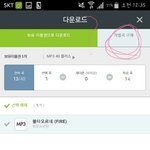 [방탄소년단] <b>개별</b>곡 다운이