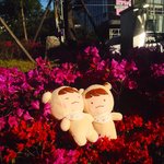 [EXO] ㅇㄱㄹㅇ엑소팬들 오래가는이유 알려줄까