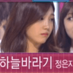 [에이핑크] 나 일 터질때부터 짹짹이 눈팅했었는데