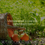 <b>모씨</b>에서 누가 내얘기쓴줄