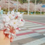[드루와] 난 사실 혼자 어디 다니는거 되게 좋아해