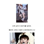 [세븐틴] 솔직히 나 타팬인데