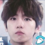 [EXO] 변백현 'ㅅ' 멍뭉미 'ㅅ' 오집니다 'ㅅ'