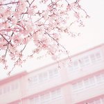 [미연시] p1*