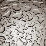 두 번 보게되는 <b>사물</b>들의 재발견