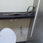 어떤 <b>장병</b>님께서...