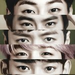 [EXO] 시발 이거 배경화면각인데