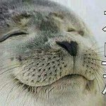[댓글부탁해] 방탄은 판슈스임 ㅇㅈ?