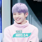 [세븐틴] 애들아 우지 <b>연보라</b>돌이VS핑순이