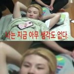 [세븐틴] 중국 어쩌고가 토<b>도우</b>였다니...