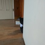[고양이] 숨어서 날 감시 <b>해요</b>.