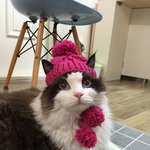 [탑과라떼] 사이좋은(?) 남매 탑과라떼