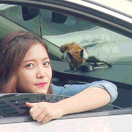 [<b>레드</b>벨벳] 예리 움짤 대방출3