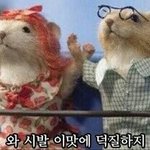 [세븐틴] 캐럿들우리1위했는데축하파티하자