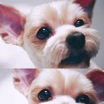 [EXO] 현피뜨고싶은사람<b>나말</b>고도있냐