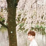 [EXO] 남돌 앨범 사진중 최고라고 <b>주장</b> 하는 사진들