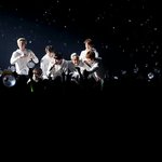 [방탄소년단] 우리는천천히 아주 조금씩