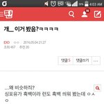 [방탄소년단] 뒷북이면 <b>미안</b>한데 어제 새벽에