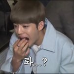 [세븐틴] 근데이거나만웃겼낰ㅋㅋㅋㅋㅋㅋ