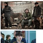 [EXO] 개장수들 사이에서 유행하는 색.<b>jpg</b>