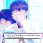 [세븐틴] 애들아 나한테