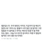 [방탄소년단] 이삐들 애들 <b>트윗</b>있잖아