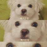 내일 <b>나</b> 서울간다 이<b>예</b>에에