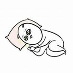 [댓글부탁해] 와 너네 이사<b>배님</b>이 장나라메컵하신거 봣냐