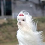 다들 <b>심심</b>할때 하는 거 있음?