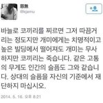 [방탄소년단] 콘서트가면 <b>개울</b>거같아 ㅠ
