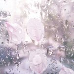 나 오늘 생일인데