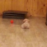 [인피니트] <b>남우현</b> 거기서뭐해..?