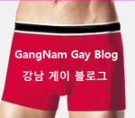 [ 송파구 관광 코스 ] 강남 3구 투어_강남구-송파구-서초구_서울...