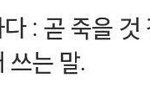 [방탄소년단] <b>땅</b> 냄 새 가 고 소 하 네
