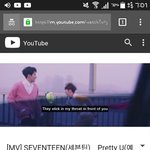 [<b>세븐틴</b>] ㅅㄷ)필터링하는이유는뭐야?