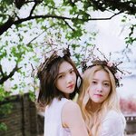 [개독<b>극혐</b>ㅗ] 개독은 병입니다.