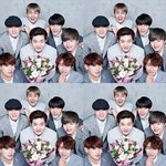 [BTOB] 늦었지만 봄날의기억 활동