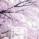 [방탄소년단] 힘내자 이삐들아